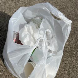 清掃活動：おチヌさん絶賛ノッコミ中！