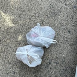 清掃活動：花見カレイ狙い