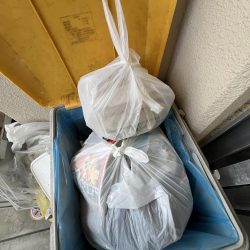 清掃活動：花見カレイ不発！癒しのテンコチ