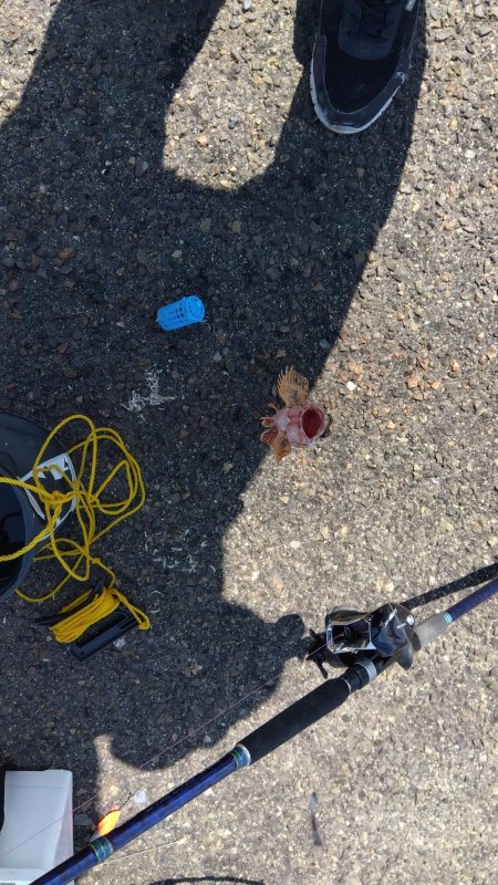 メガフロート淡路　