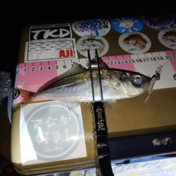 地元春アジ開幕2連勝