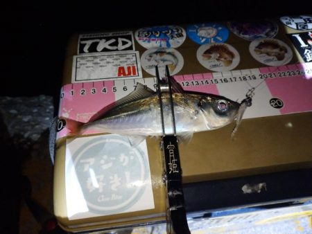 地元春アジ開幕2連勝