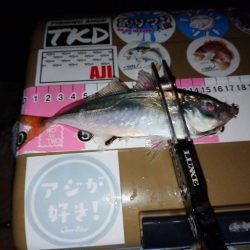 今夜もご近所アジング