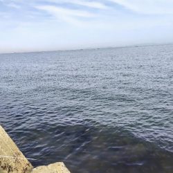 キスの活性があがらない。