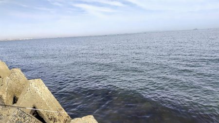 キスの活性があがらない。