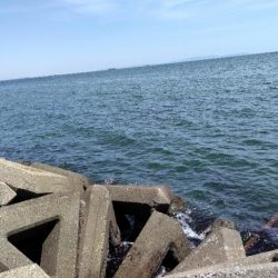 気持ち良い晴天の下。