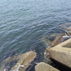 今年はちょっと違う感じ