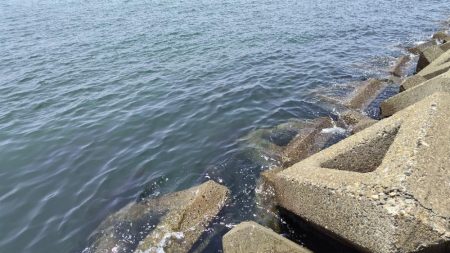 今年はちょっと違う感じ