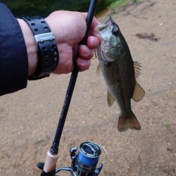 痛恨のバラシ！