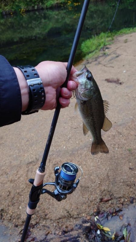 痛恨のバラシ！