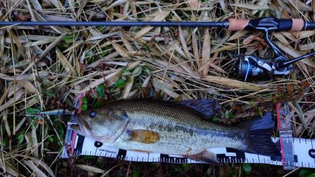 アフターの釣り方