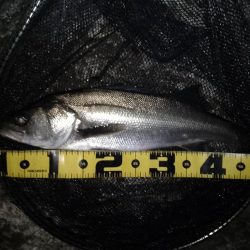 冷たい向かい風…