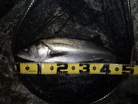 冷たい向かい風…