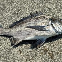 トップチニング