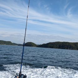 デカすぎクログチ