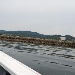 怪物ヒラメ見てしまった・・・