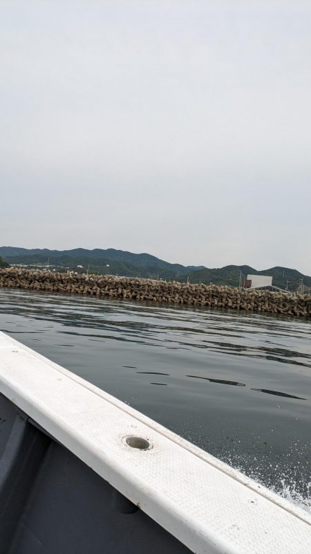 怪物ヒラメ見てしまった・・・