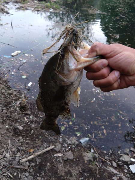 パワーフィネスで1本