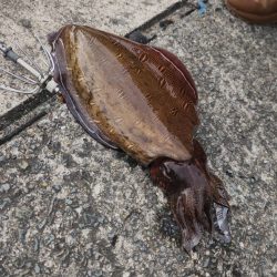 風があっち向きこっち向き😭