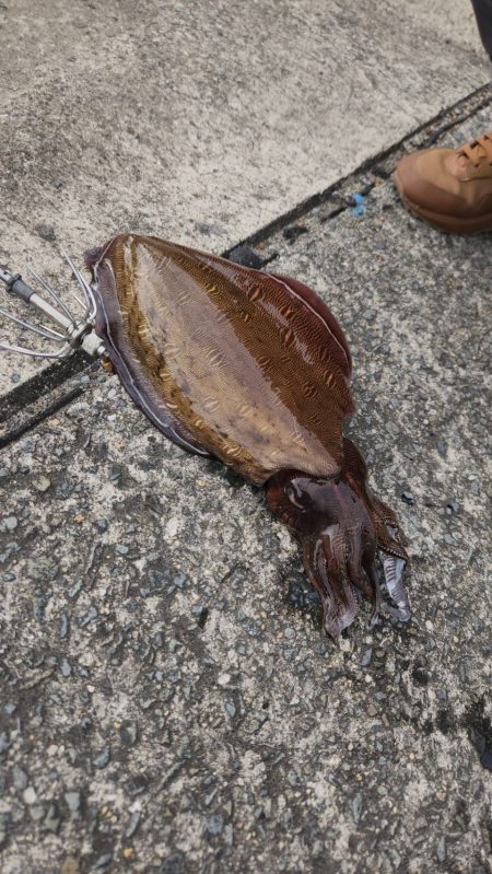 風があっち向きこっち向き😭…