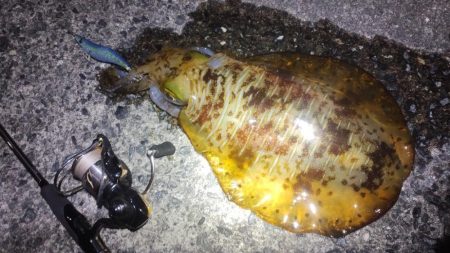 3キロに届かず！