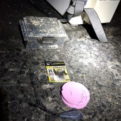 苅屋海岸のキス釣り