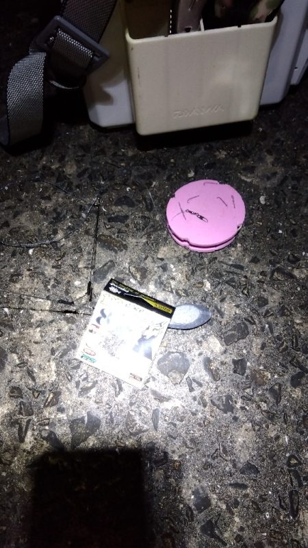 苅屋海岸のキス釣り