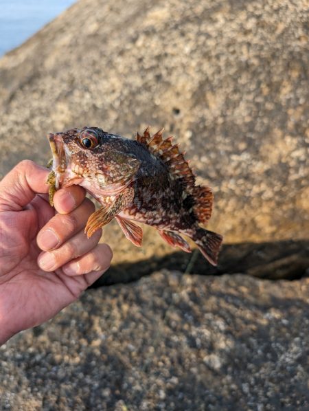 陸っぱり釣行記