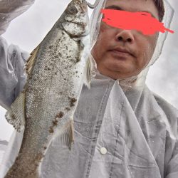 ソゲとヒラセイゴ釣れたとです。