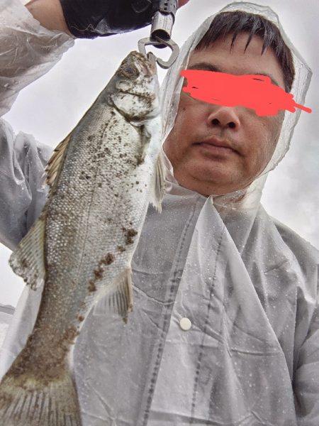 ソゲとヒラセイゴ釣れたとです。