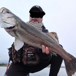 雨後にシーバス60UP！