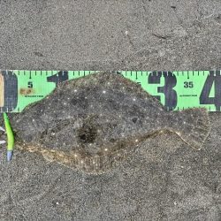 ルアーフィッシング