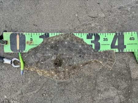 ルアーフィッシング