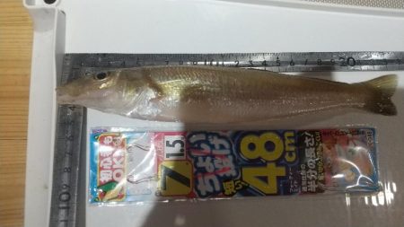 キスイベント参加