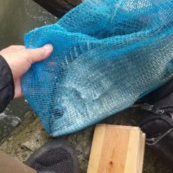 ぶっ込み釣りで…