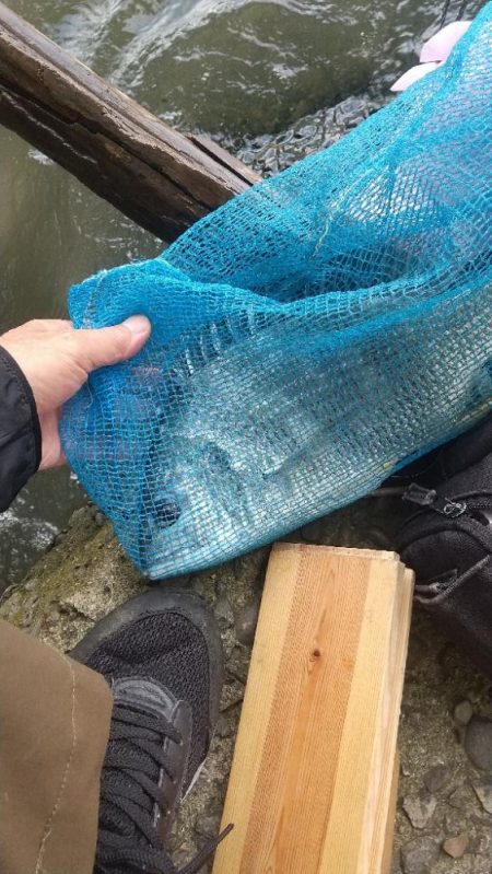 ぶっ込み釣りで…