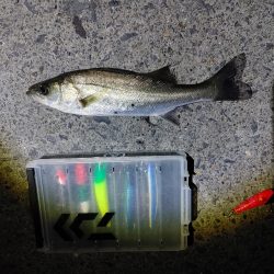 今回は大苦戦でした