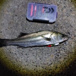 バイト(当たり)は多いです