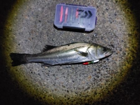 バイト(当たり)は多いです