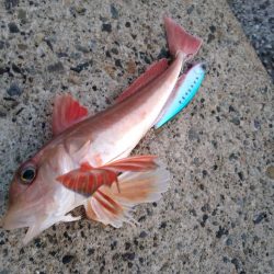 フラット狙いで四角いやつ