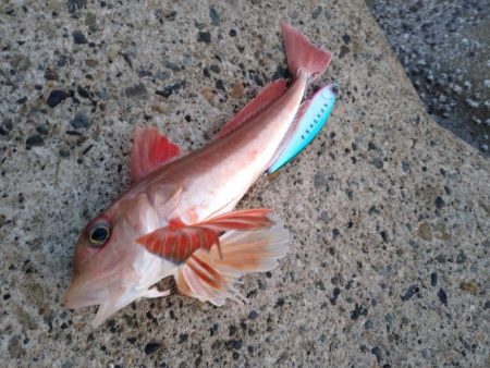 フラット狙いで四角いやつ