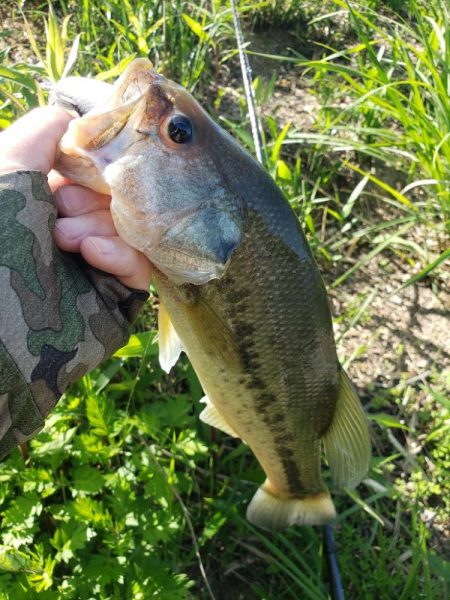 爆釣でいいでしょ‼þ…