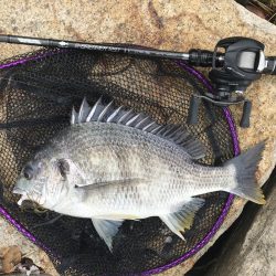 湾奥マルチヒット