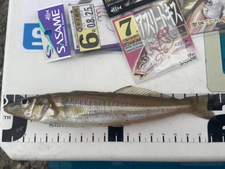 シロギスタのDo As Infinityな…