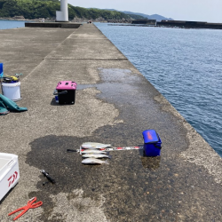 久しぶりに釣れました