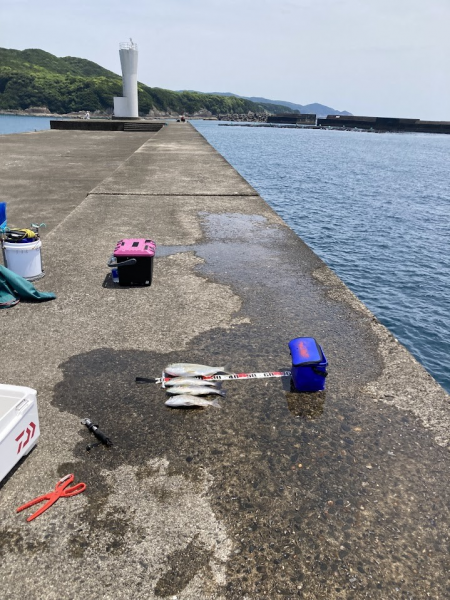 久しぶりに釣れました