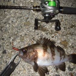 波風治まるまではやや渋め