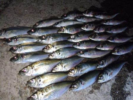 今夜は巻き巻き