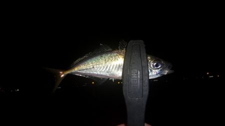 ノー残業デーだったので！