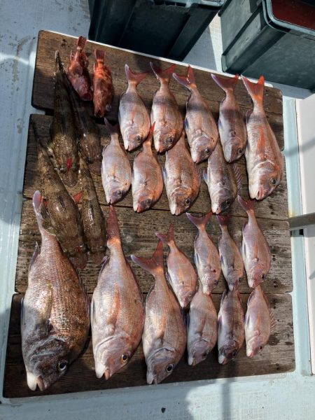 たかたかの釣り日記